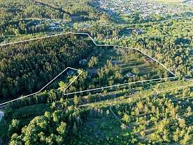 Малая Царевщина - Лесная сказка