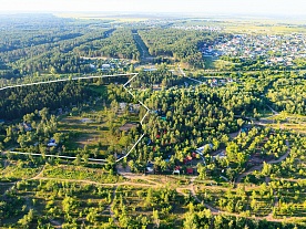 Малая Царевщина - Лесная сказка