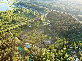 Малая Царевщина - Лесная сказка