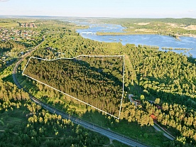 Малая Царевщина - Лесная сказка