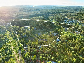 Малая Царевщина - Лесная сказка